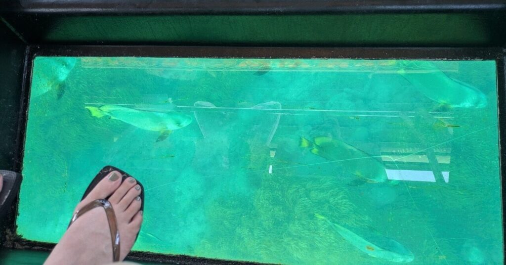 ケアンズ グラスボトムボート