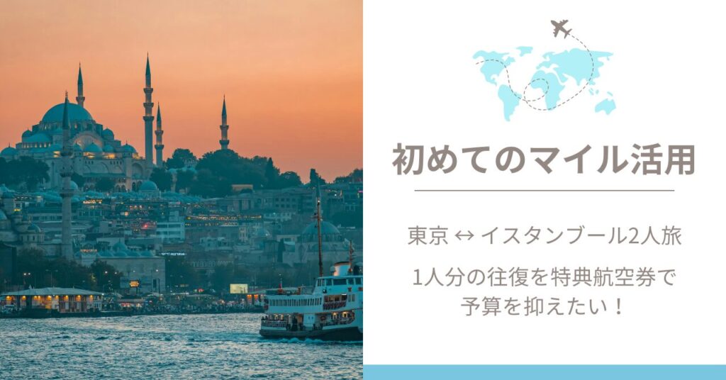 初めてのマイル活用